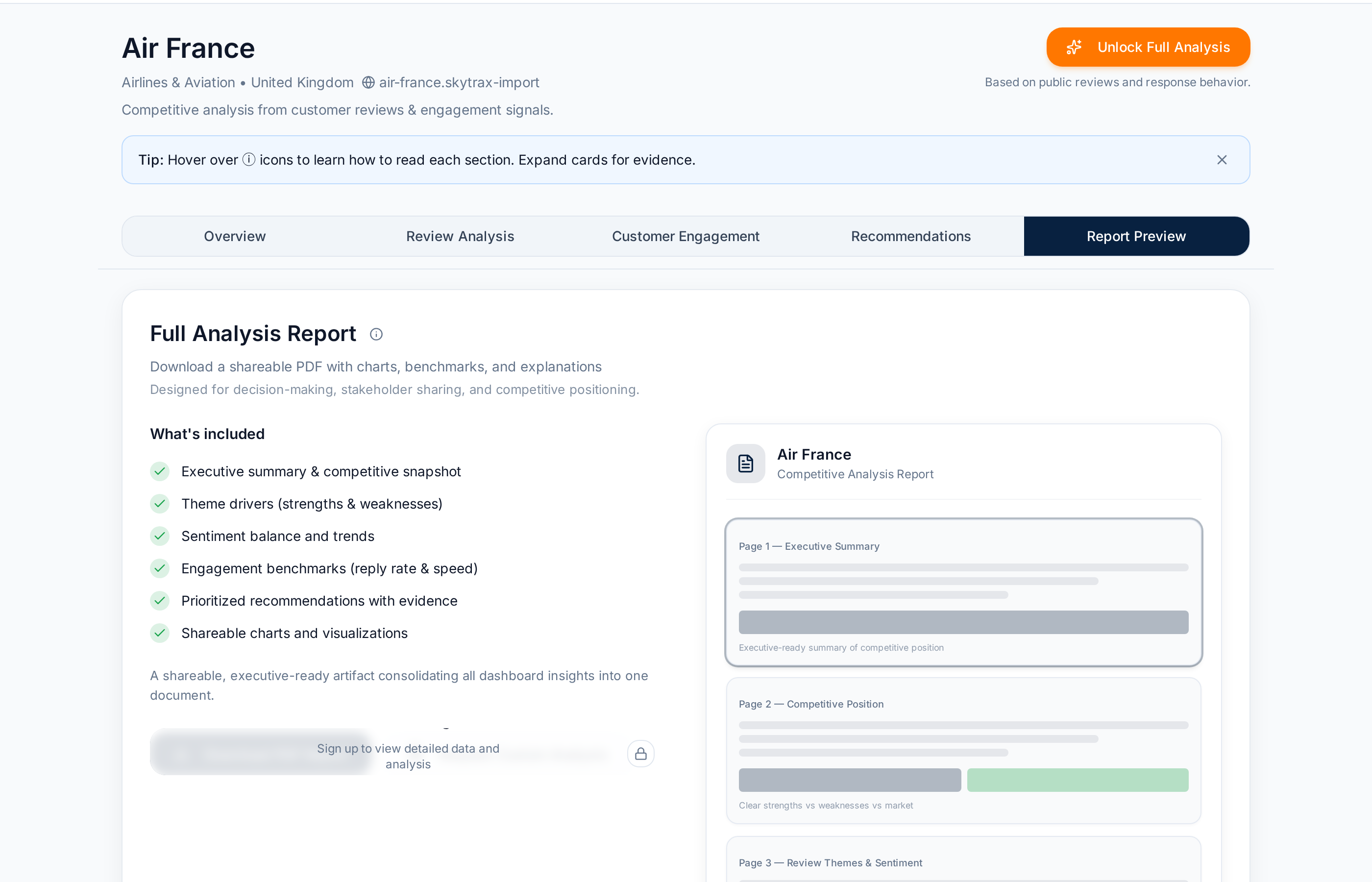 Report Preview tab